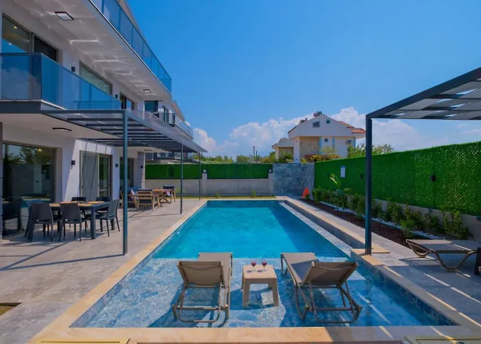 Alisen 1 * 페티예