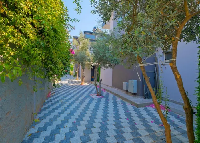 Alisen 1 * 페티예